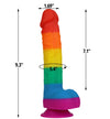 9โ Rainbow Realistic Dildo โ Transparent Silicone Suction Cup Dildo with Balls for Hands-Free G-Spot & Anal Play